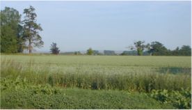 English Country Side