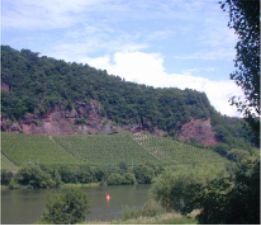 View of Mosel and Wine Country